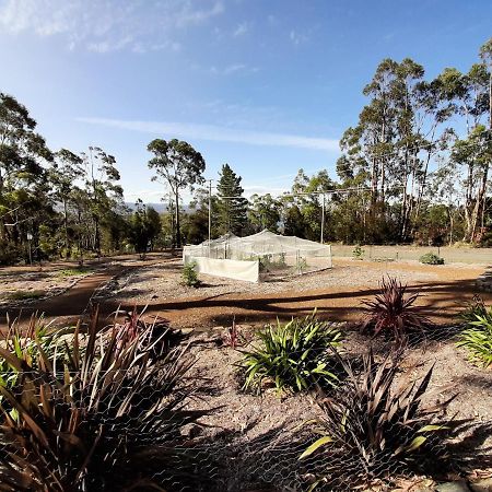 Spring Beach Garden Retreat Exterior photo