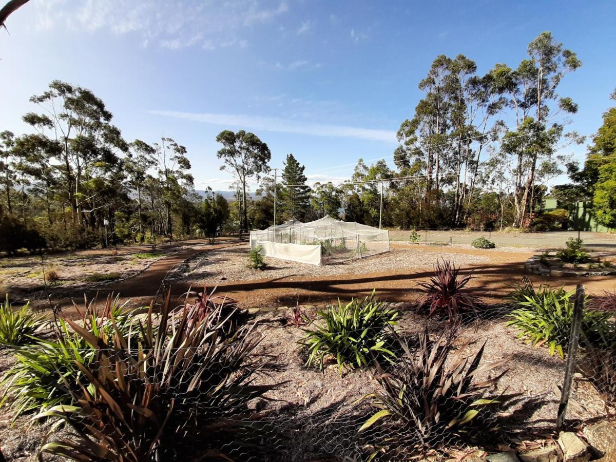 Spring Beach Garden Retreat Exterior photo